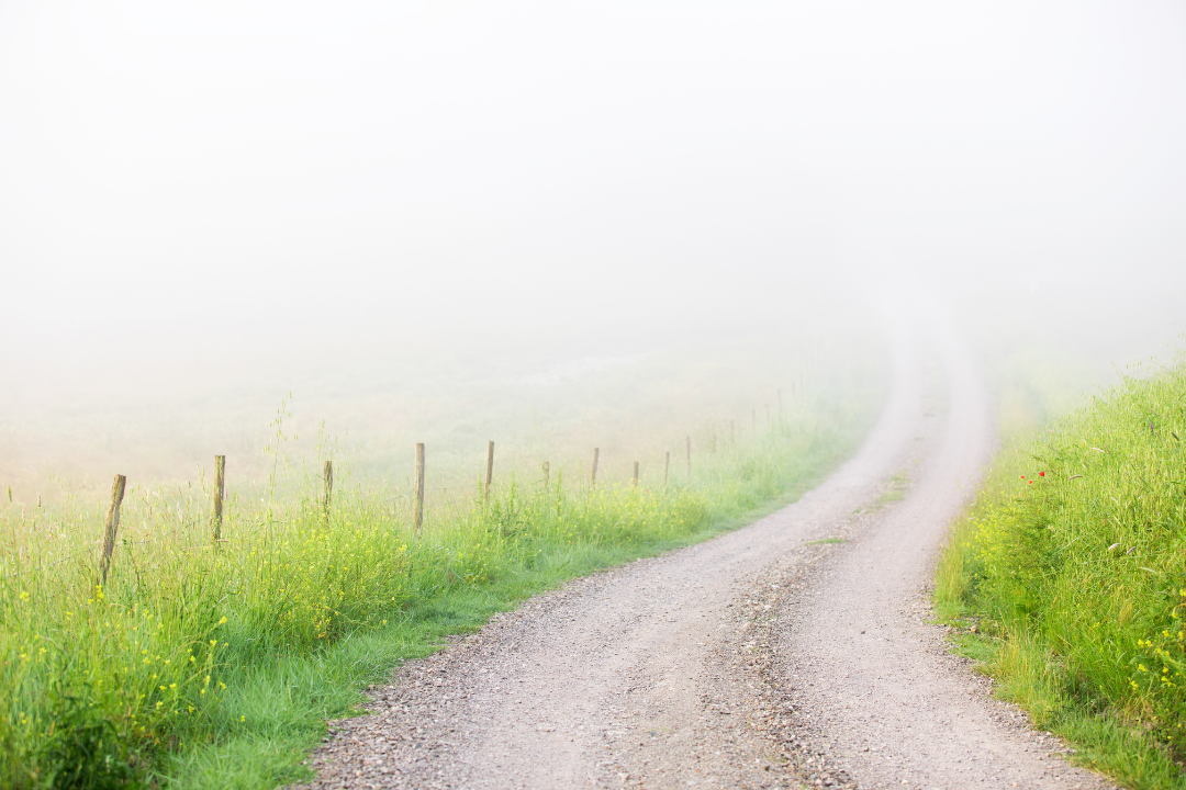 Soft country road vanishing into the mist, symbolizing escape and inner journey